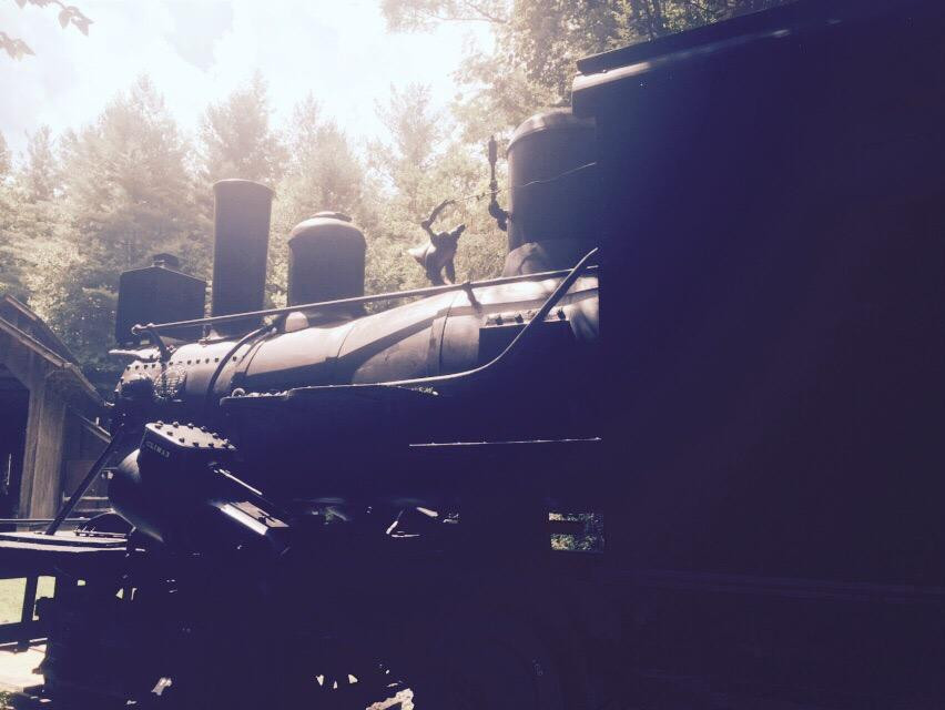 Cradle of Forestry-Pisgah Forest必去景点