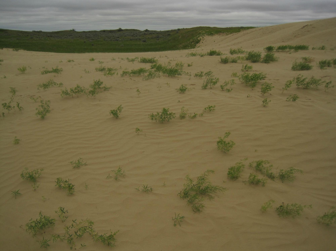 Great Sandhills Museum & Interpretive Centre-Sceptre必去景点