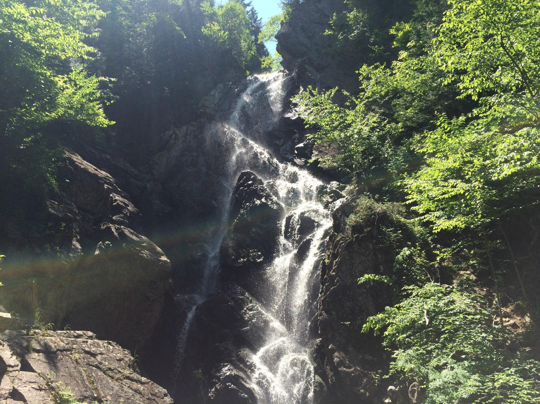 Angel Falls景点图片