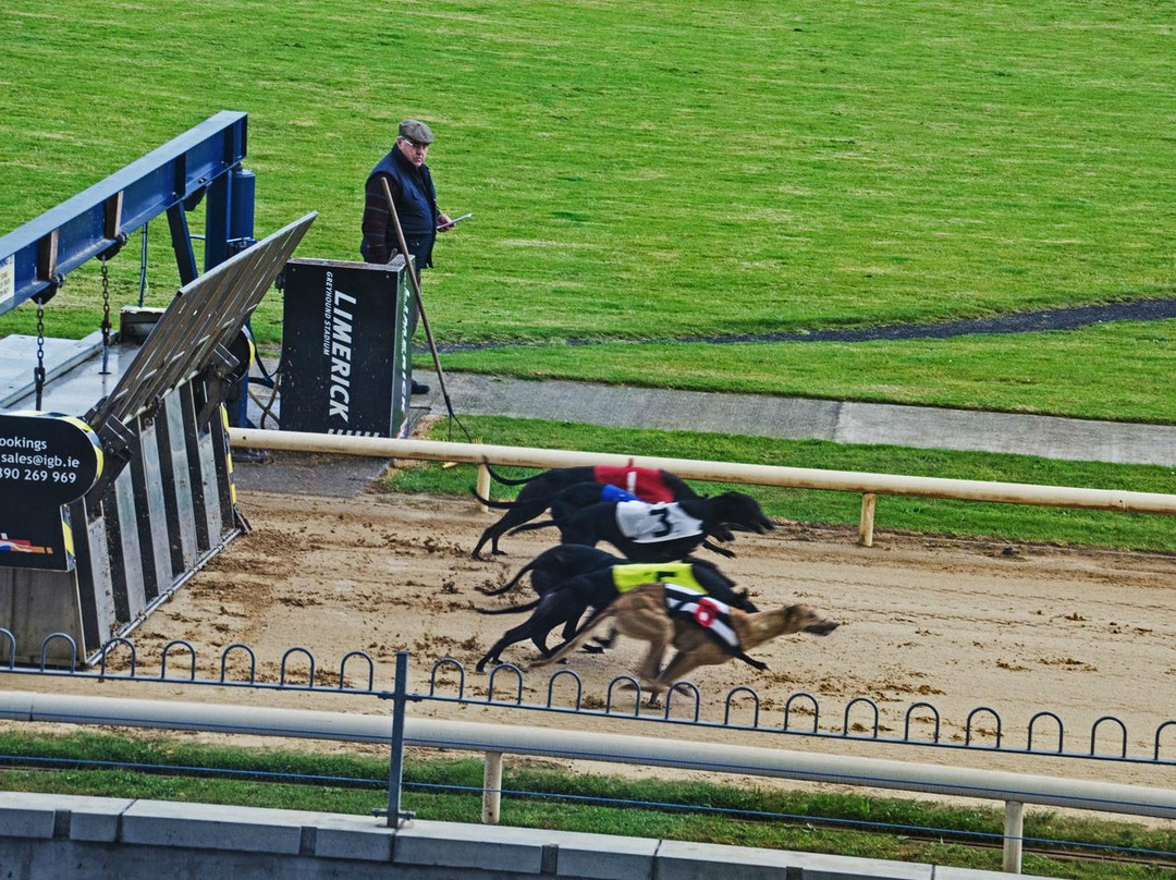 Limerick Greyhound Stadium-利默里克必去景点