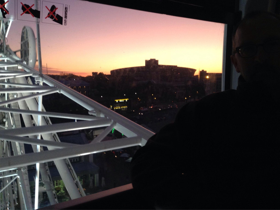 The Cape Wheel-开普敦中心区必去景点