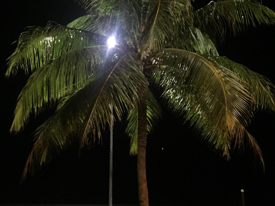 Mersing Esplanade-丰盛港必去景点