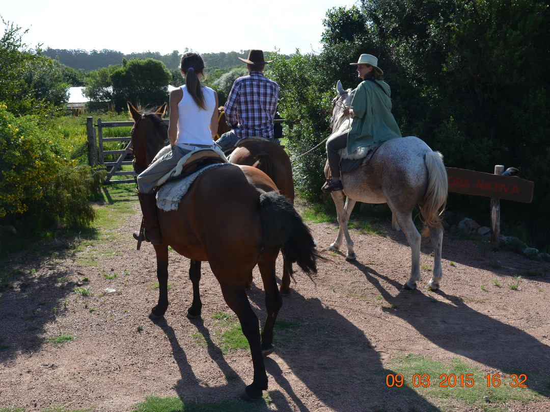 Indigena - Area Protegida de Flora y Fauna-Maldonado必去景点