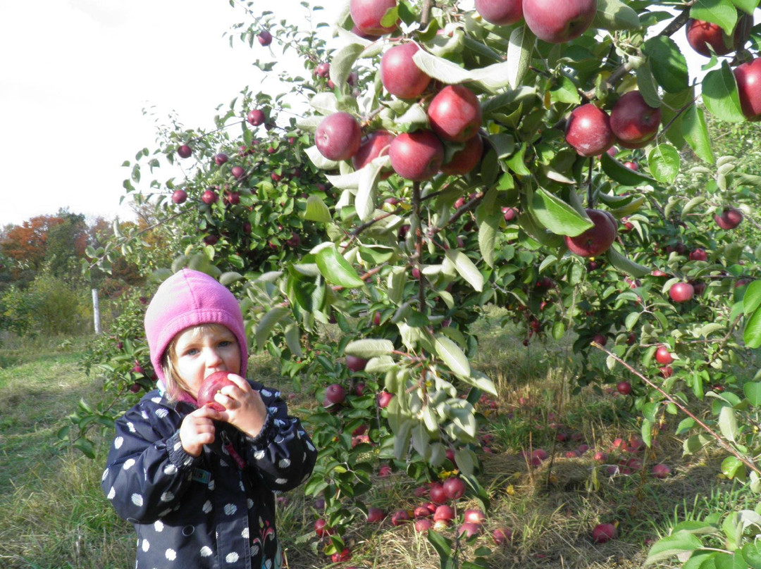 La Ferme aux Mille Cailloux-Franklin必去景点