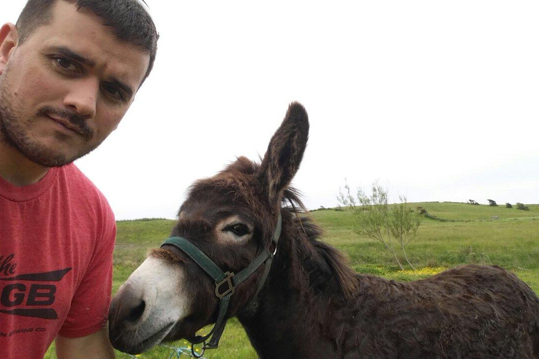 Crosswinds B&B主图