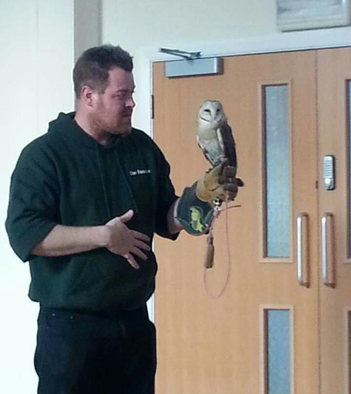 North Wales Owl Sanctuary景点图片