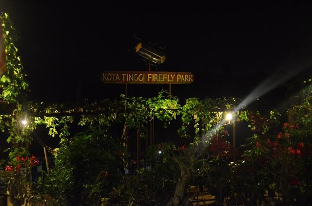 哥打丁宜萤火虫公园-新山必去景点