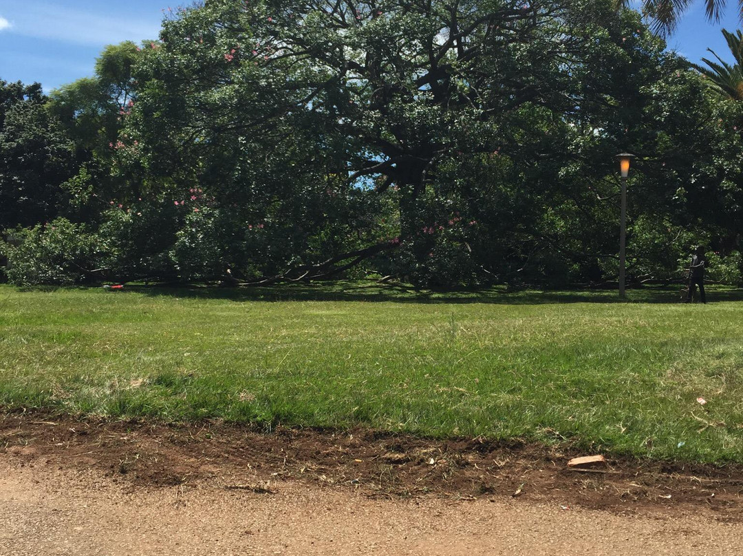 Harare Gardens景点图片