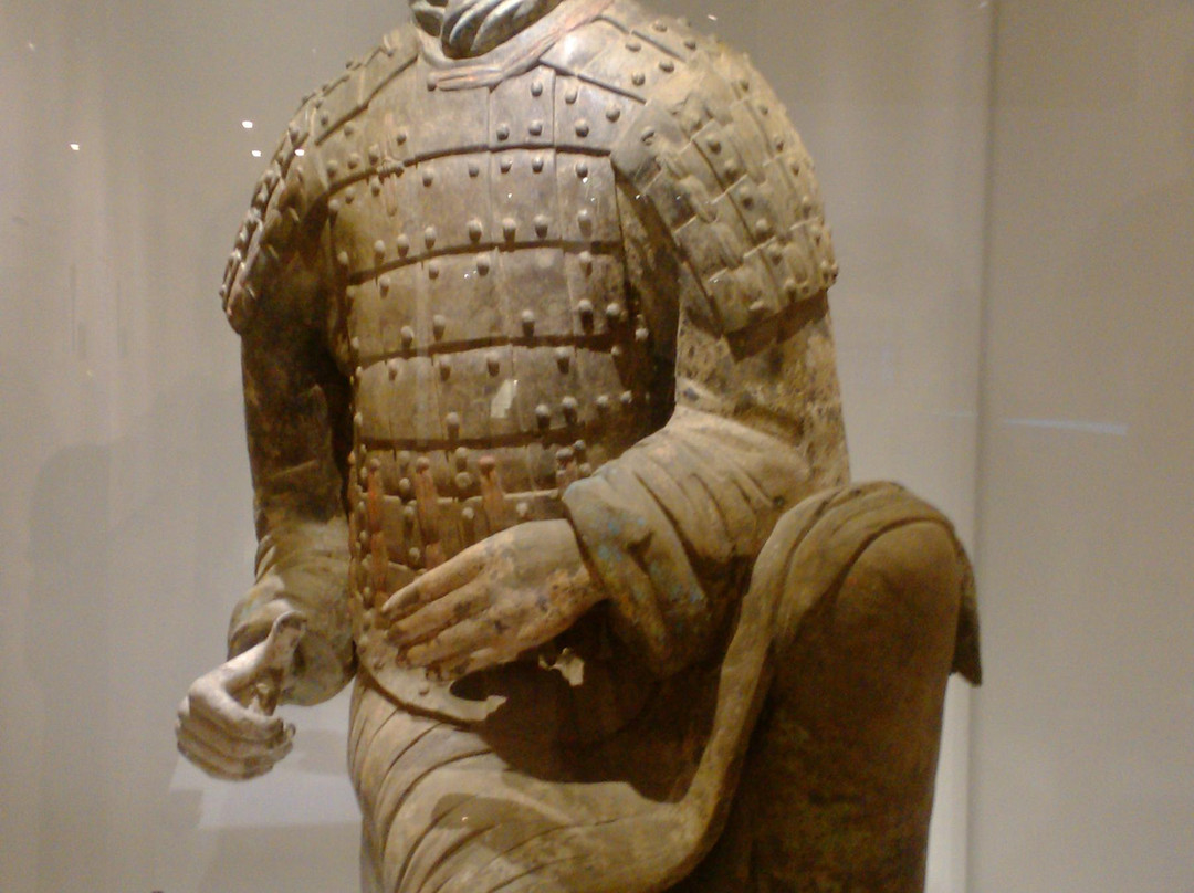 Terracotta Warrior Tours-西安市必去景点