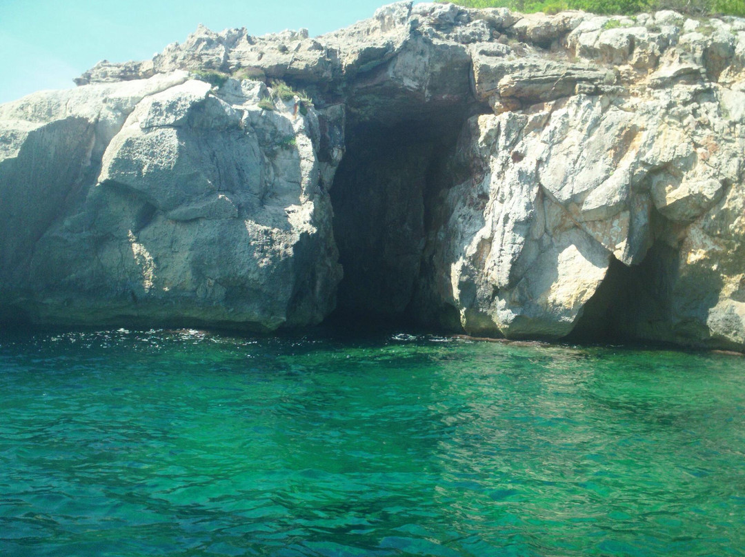 Don Pancho Boat Trip-休达德亚必去景点