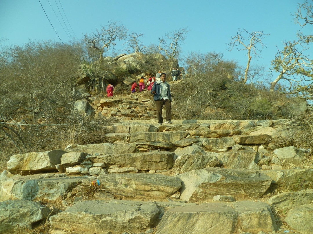 Savitri Temple-阿杰梅尔必去景点