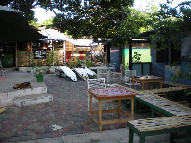 Jamnesia Surf Camp