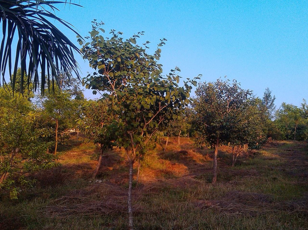 Jagriti Park景点图片