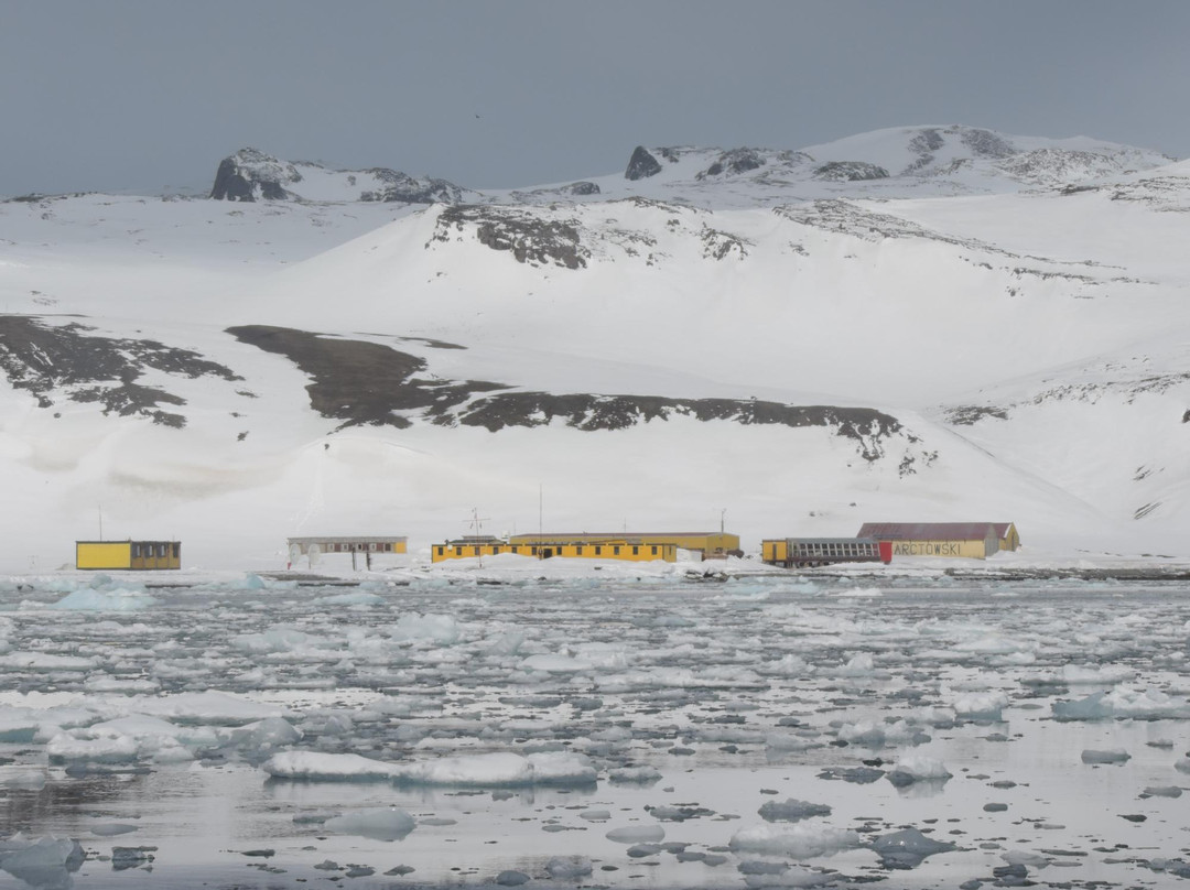 Arctowski Polish Antarctic Station-King George Island必去景点