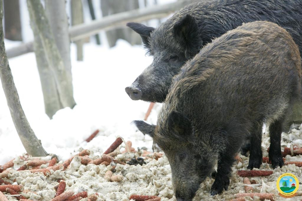 Kravarsko旅游攻略图片