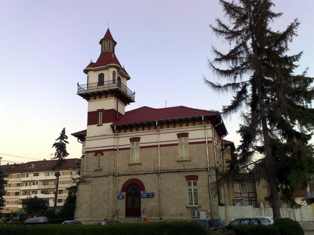 Town Hall of Targu Ocna景点图片