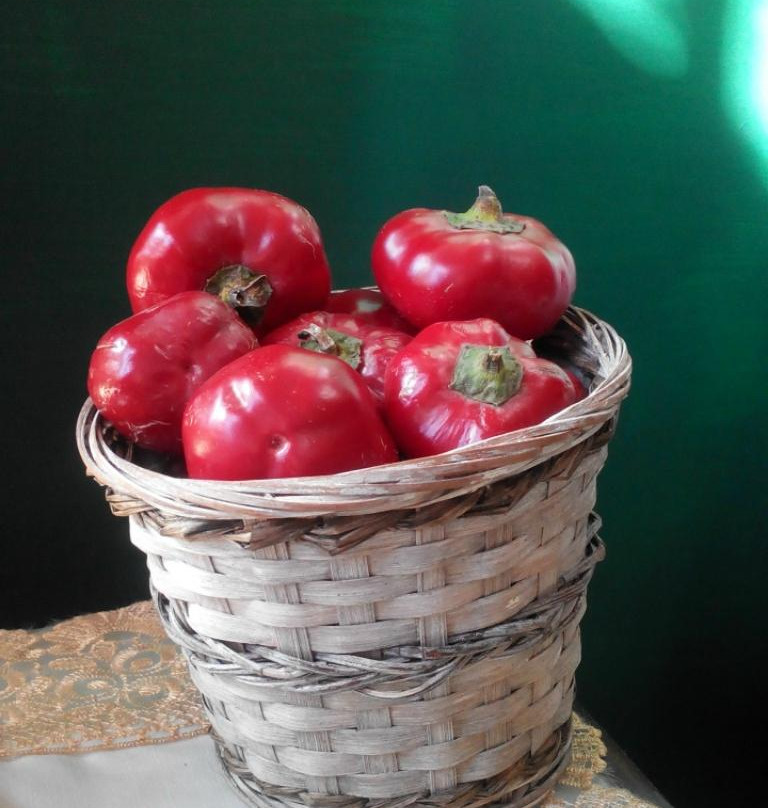 Azienda Agricola Rumma-Camposano必去景点