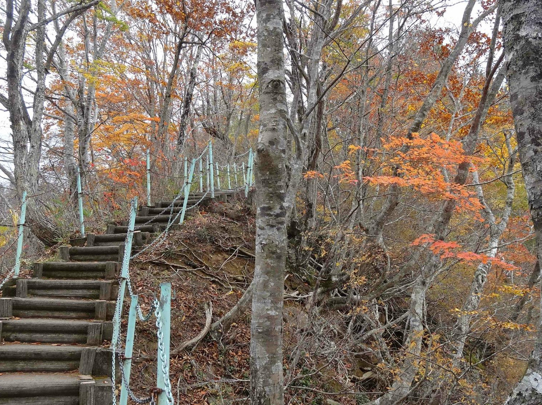 Hebifuchi Fall-中鱼沼郡必去景点
