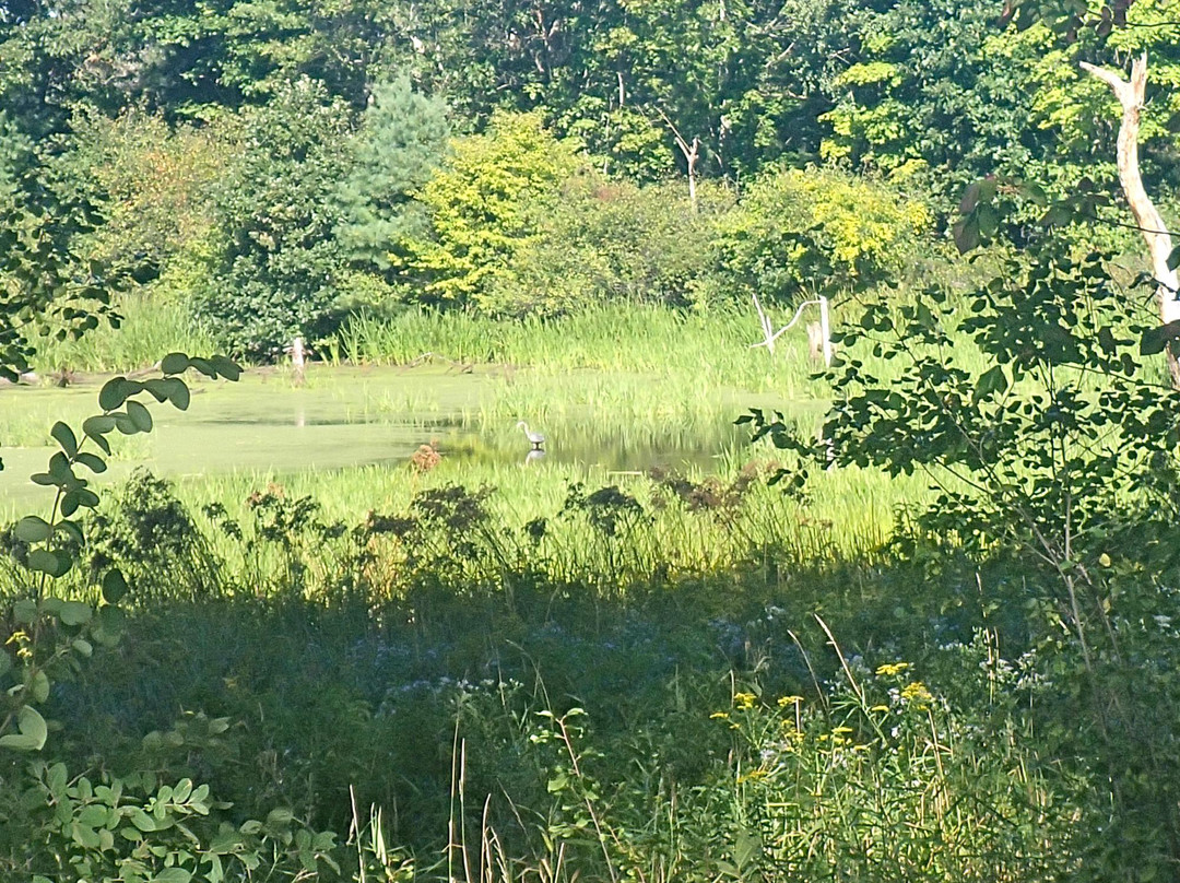 Appleton Farms景点图片