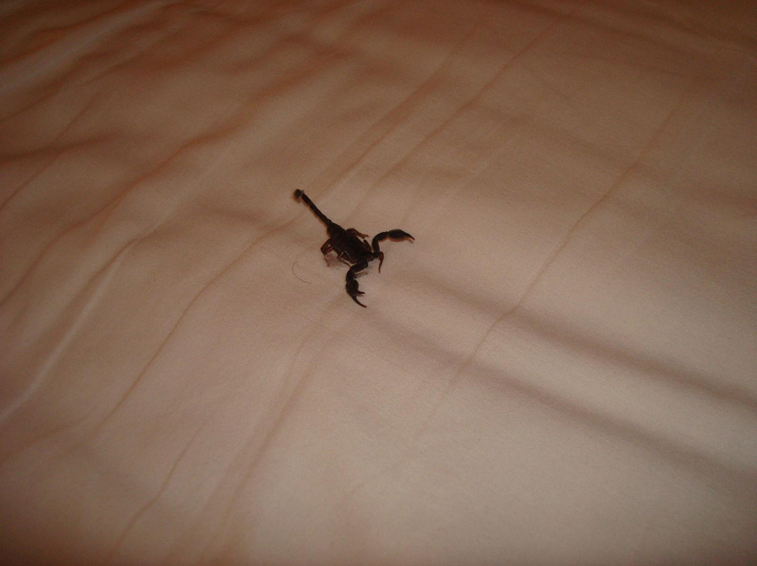 Al Castello B&B主图