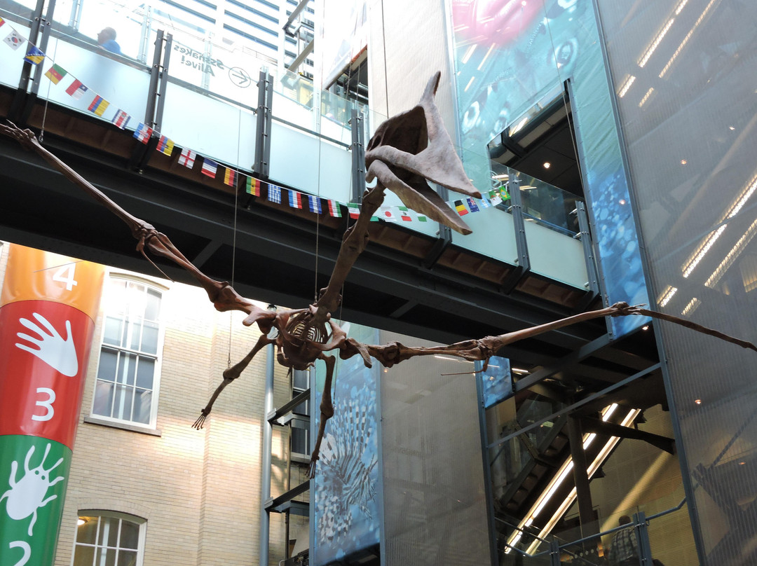 世界博物馆-利物浦必去景点