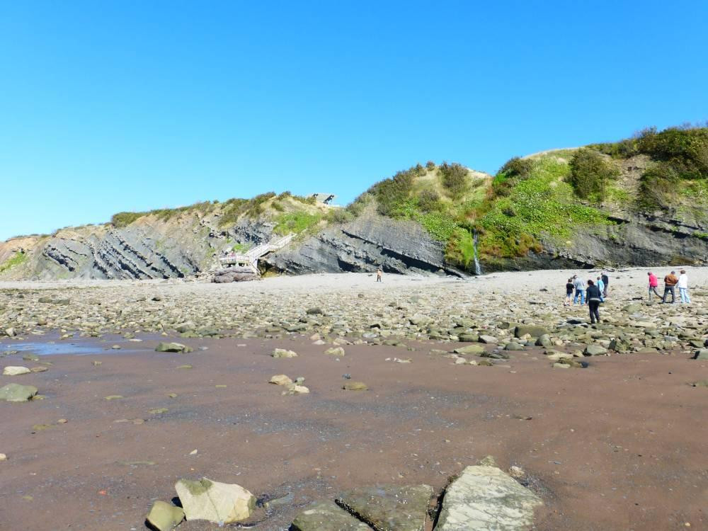 Joggins Fossil Cliffs And Centre-Joggins必去景点