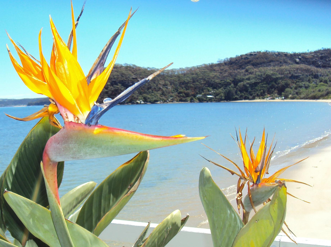 Terrific Tours Sydney-悉尼必去景点