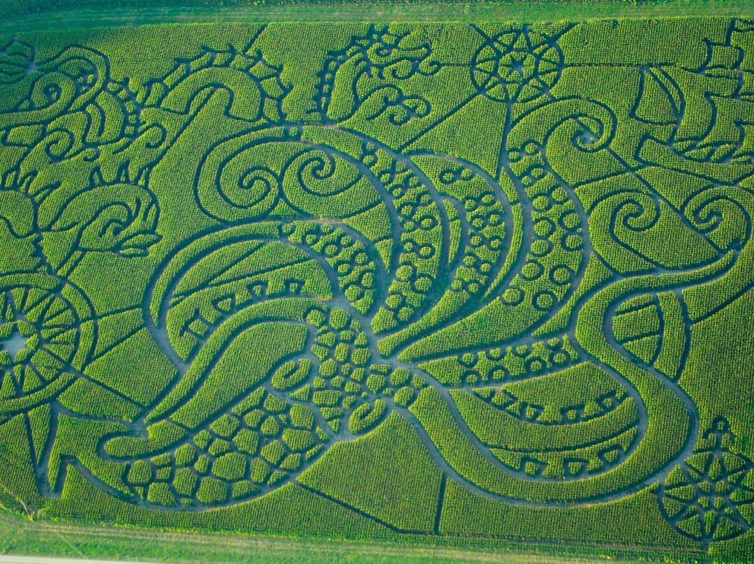 Treinen Farm Corn Maze and Pumpkin Patch景点图片