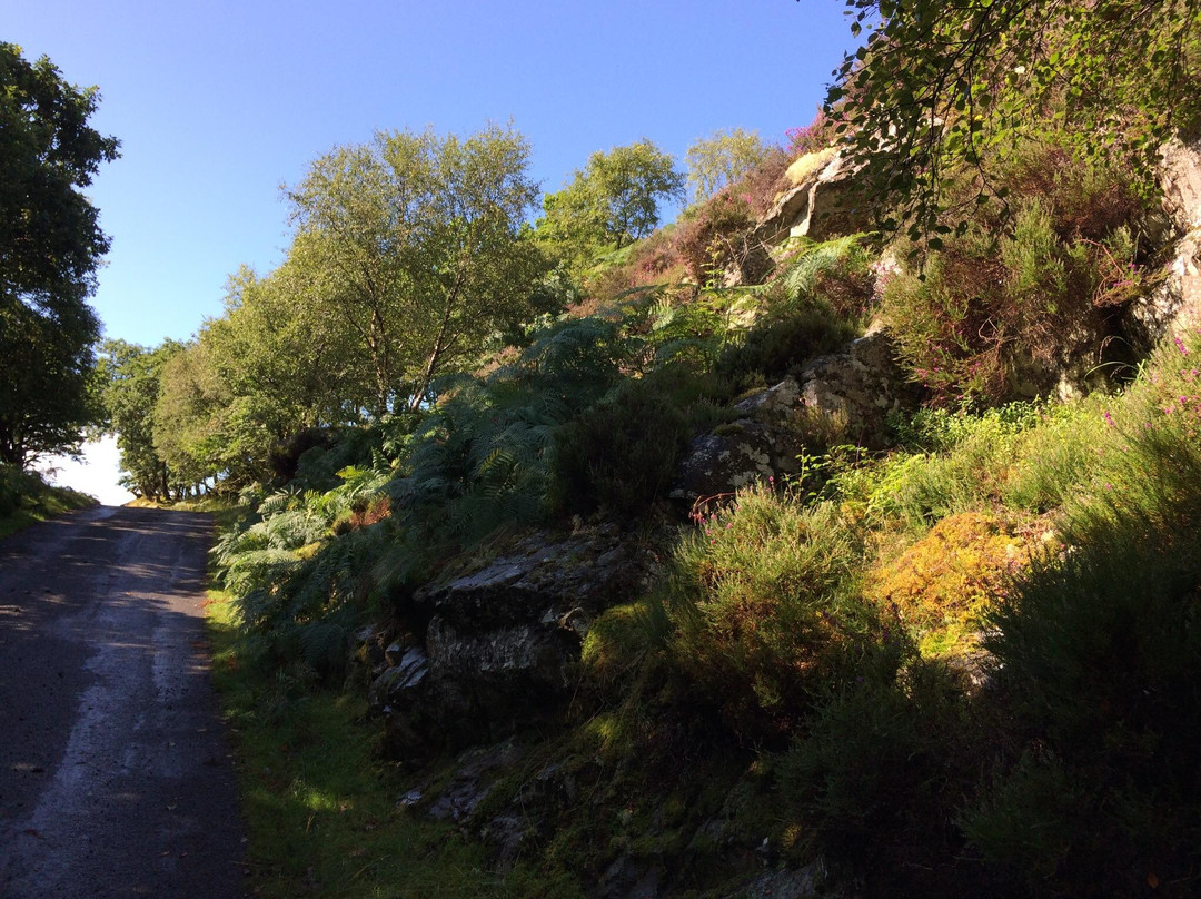 Duirinish and Drumbuie Coastal Walk景点图片