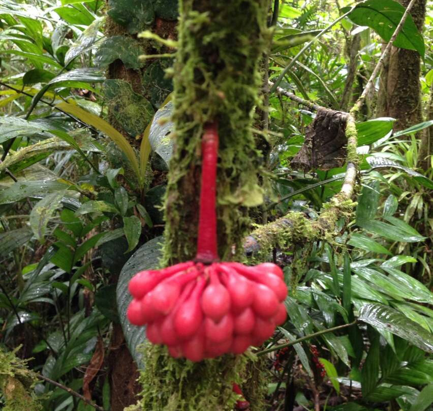 富境花庄-亚庇必去景点