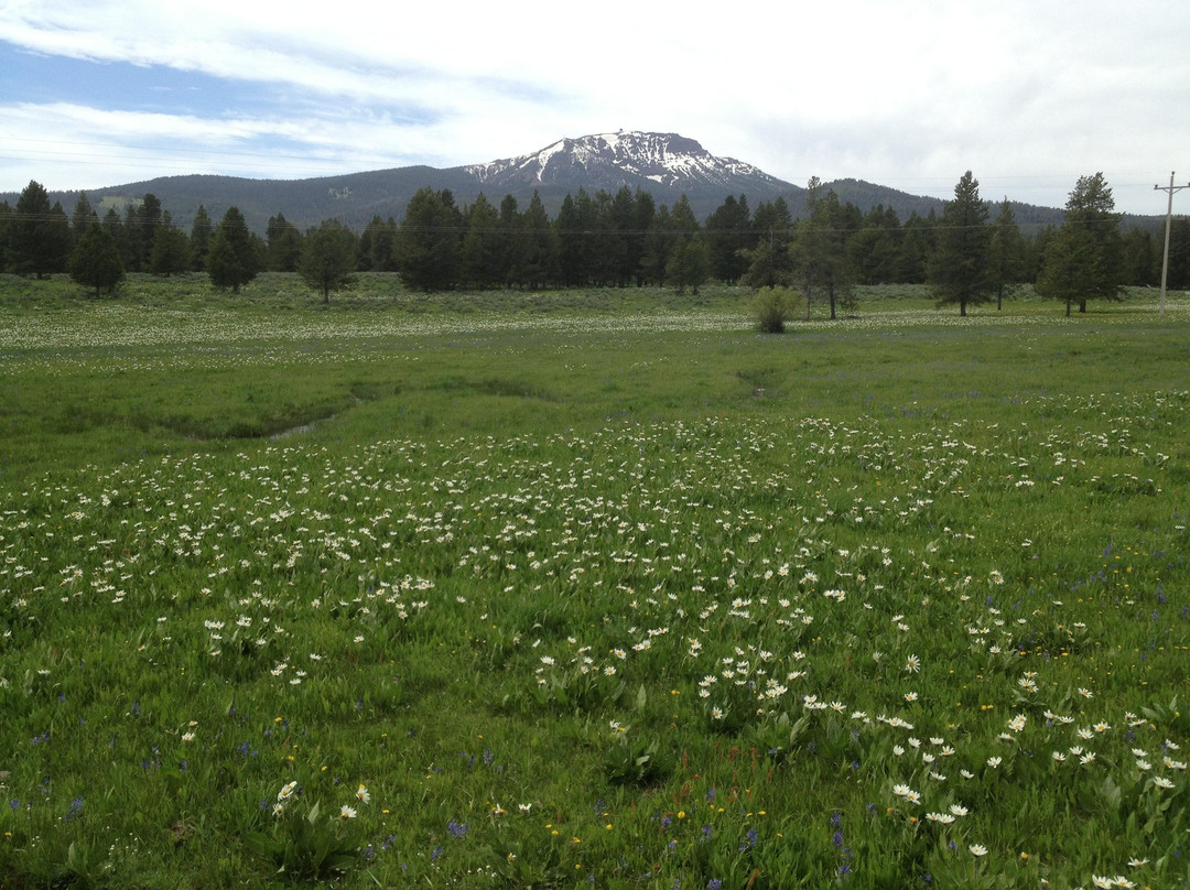 Yellowstone Playhouse-艾兰帕克必去景点