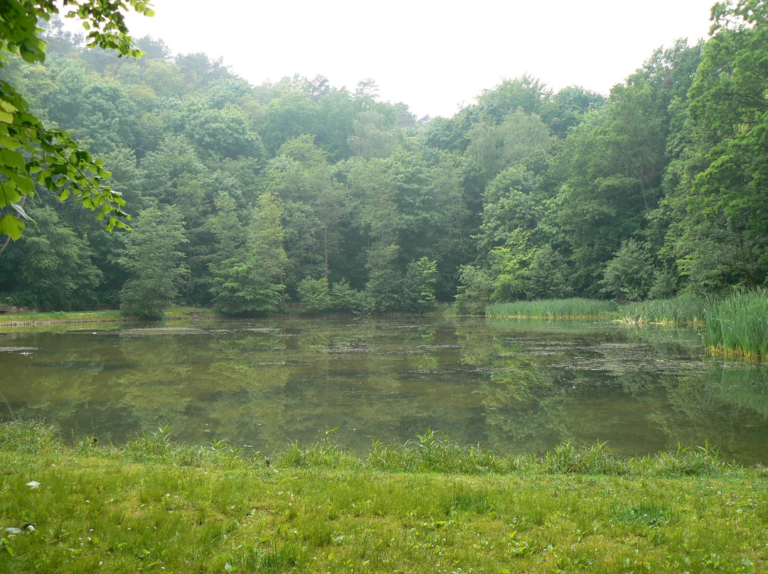Trojmiejski Landscape Park景点图片