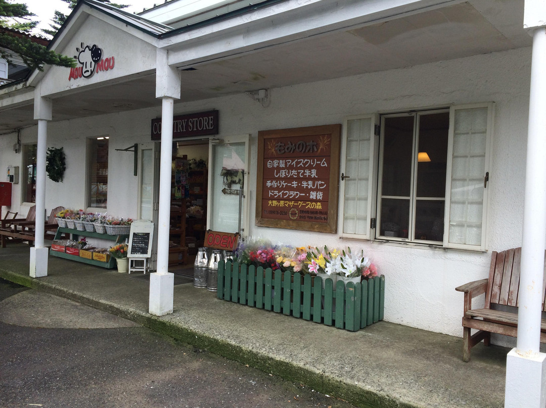 Shikoku Karst Onogahara-西予市必去景点