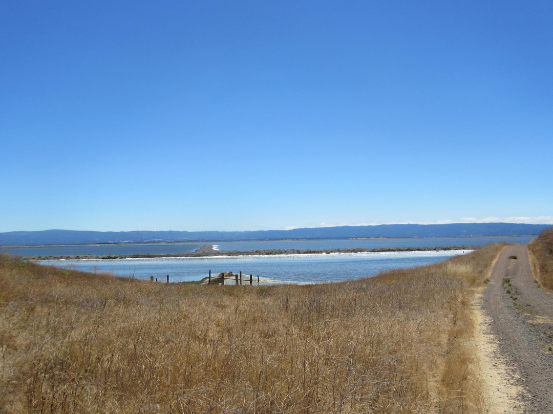 Coyote Hills Regional Park-费利蒙必去景点