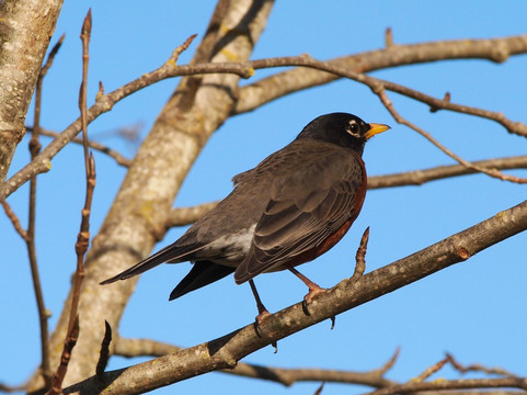 Tualatin River National Wildlife Refuge-Sherwood必去景点