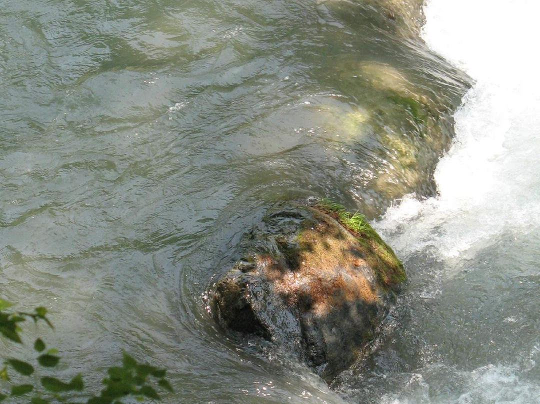 Hikawa Kokusai Masu Fishing Site-奥多摩町必去景点