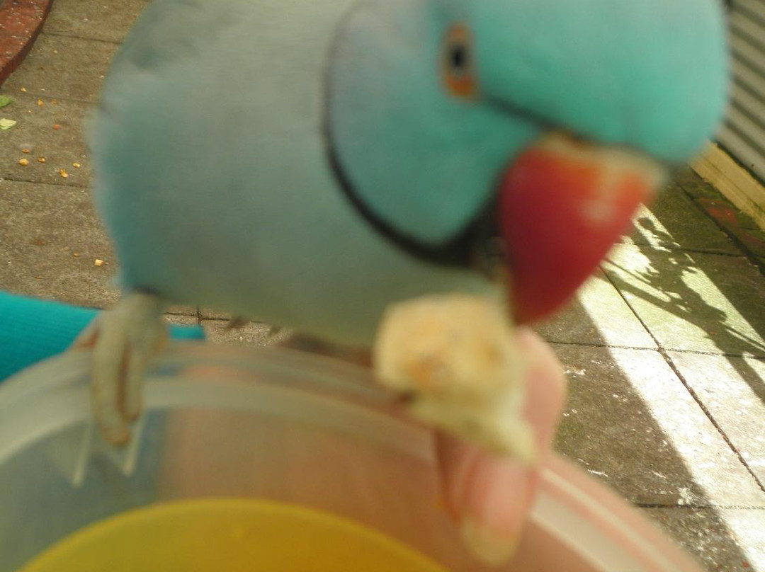 The Old Marron Farm-奥尔巴尼必去景点