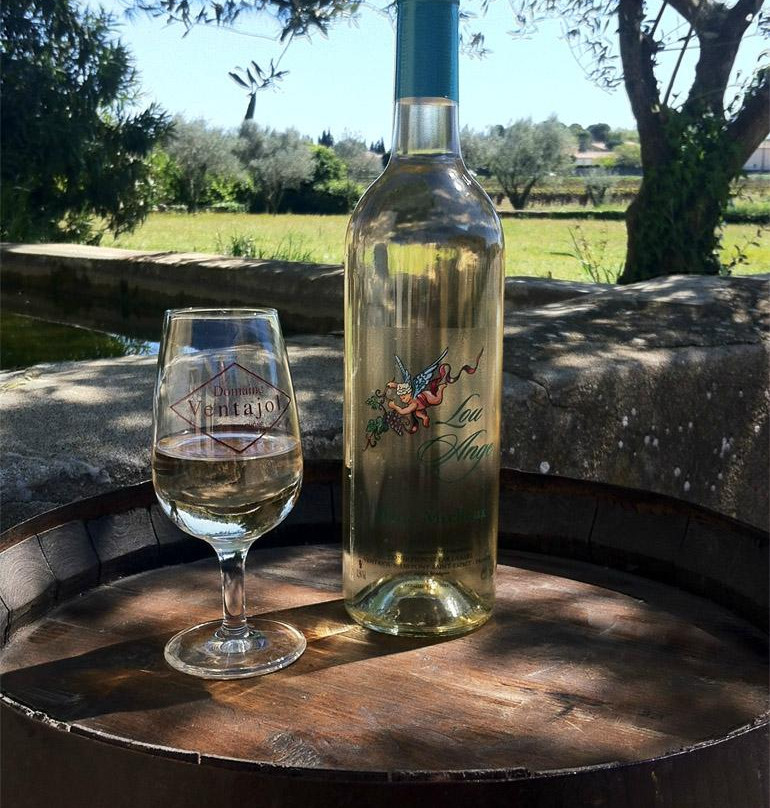 Domaine Ventajol-Pont-Saint-Esprit必去景点