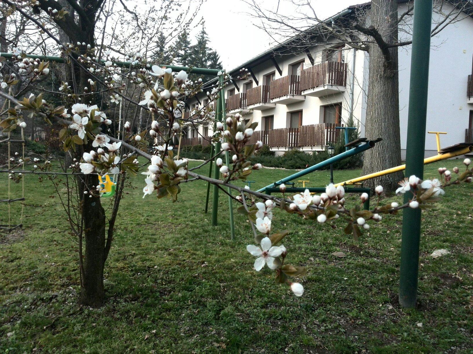 Pension Harmonia Modra-客卧