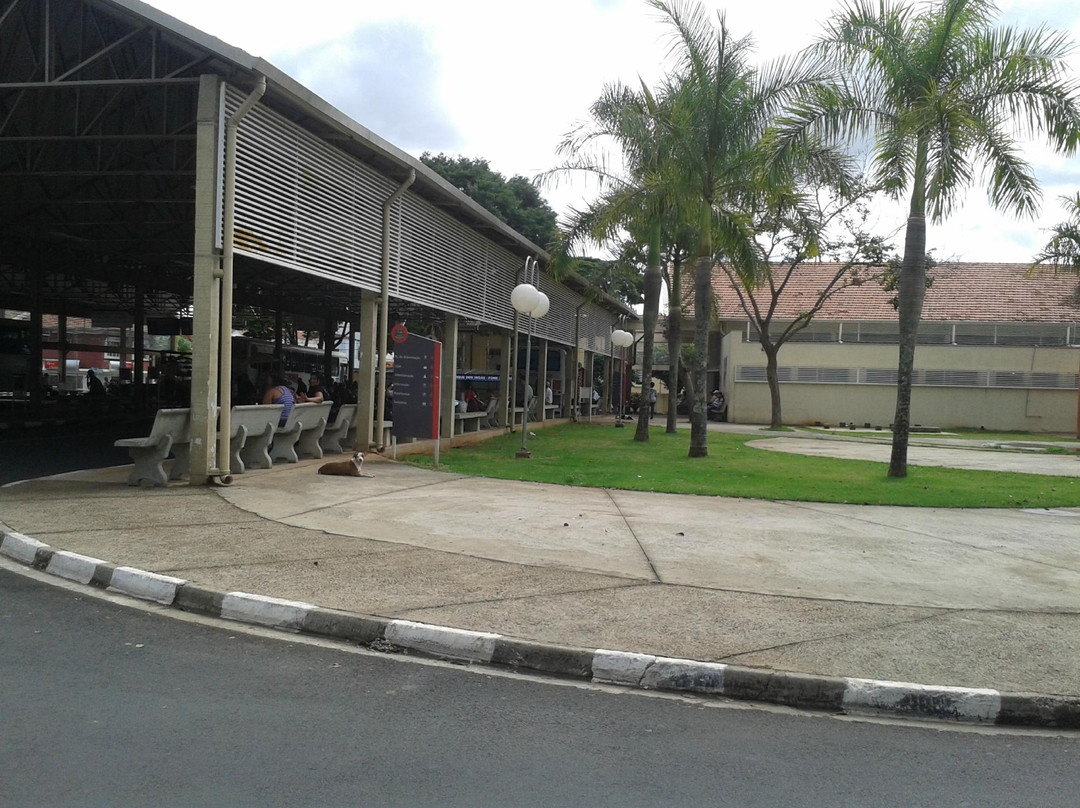 Parque Dos Ingas-Mogi Guacu必去景点