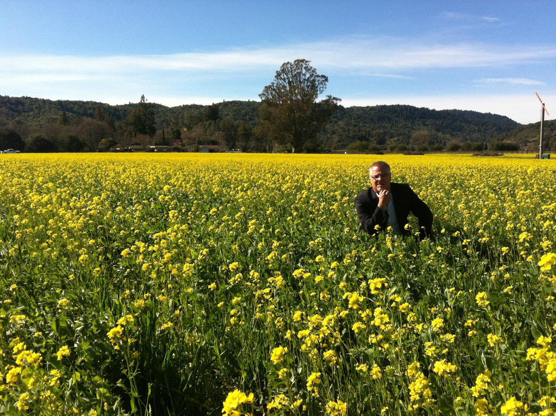 Beyond The Label - Napa Valley Private Wine Tours-纳帕必去景点