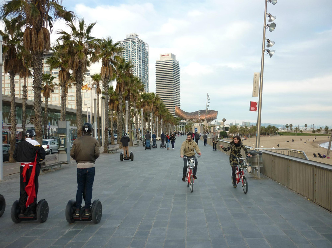 Sun & Segway Barcelona-巴塞罗那必去景点