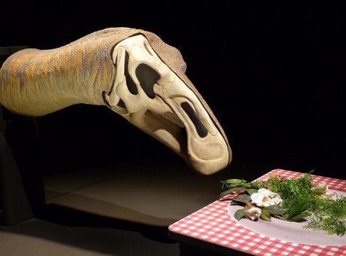 香港科学馆-香港必去景点