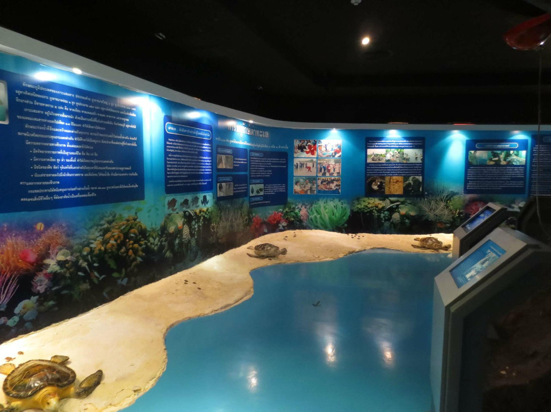 Thailand Sea and Natural History Museum景点图片