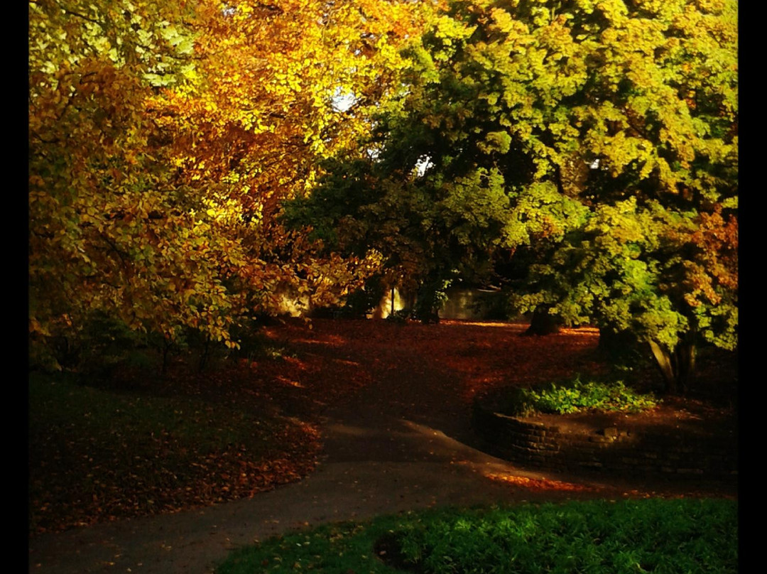 The Arboretum-诺丁汉必去景点