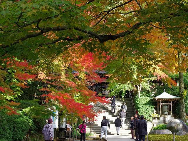 Daikozenji Temple景点图片