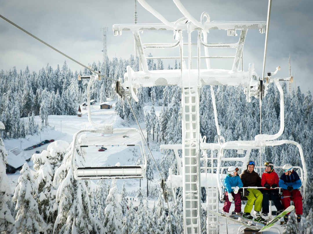 Mt Seymour-北温哥华必去景点