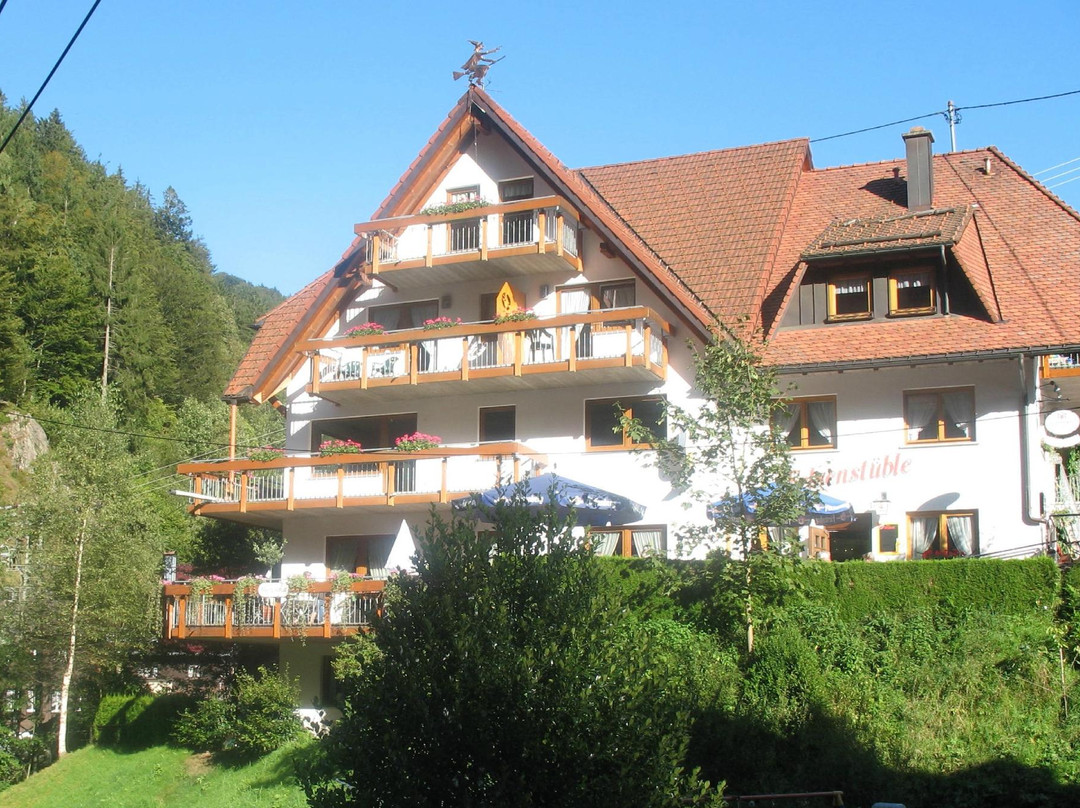 Sankt Margen酒店住宿-Gasthaus Felsenstuble