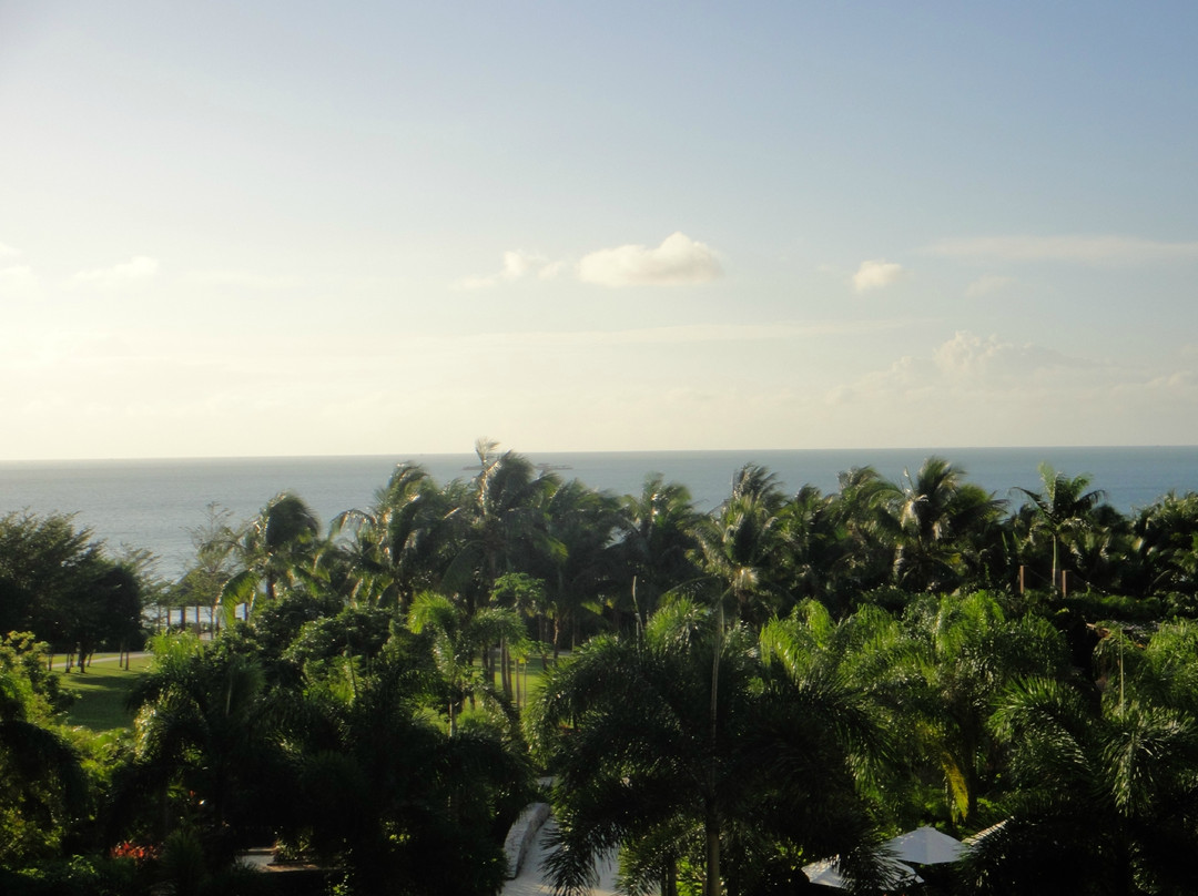 三亚亚龙湾红树林度假酒店主图