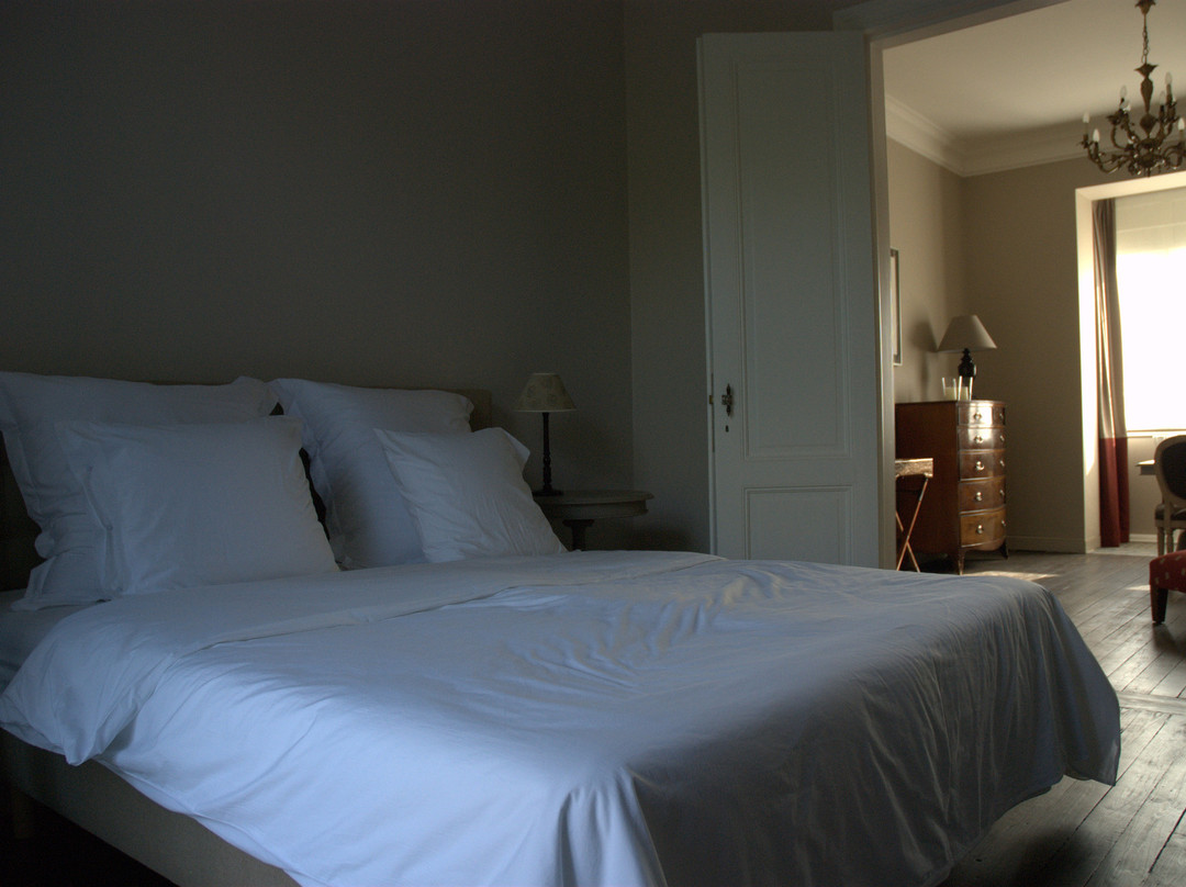 Villa des Roses Hasselt主图